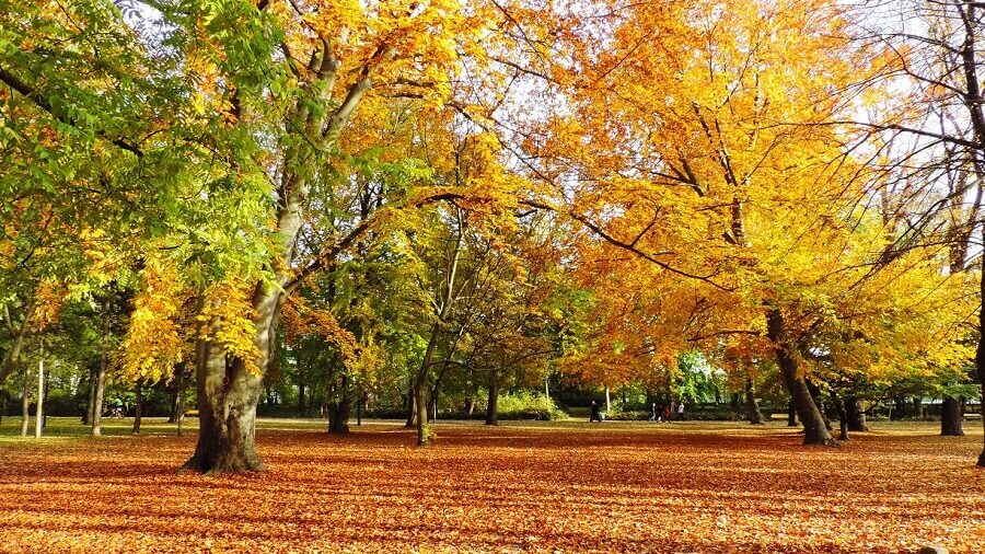 Autumn in Hungary