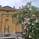 Szechenyi_bath_spring