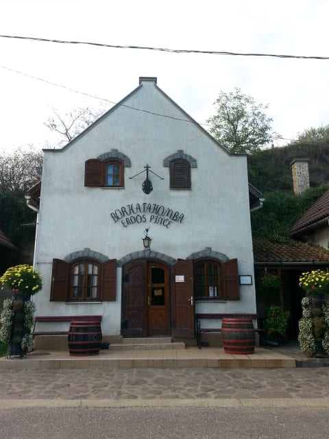Tokaj wine cellar