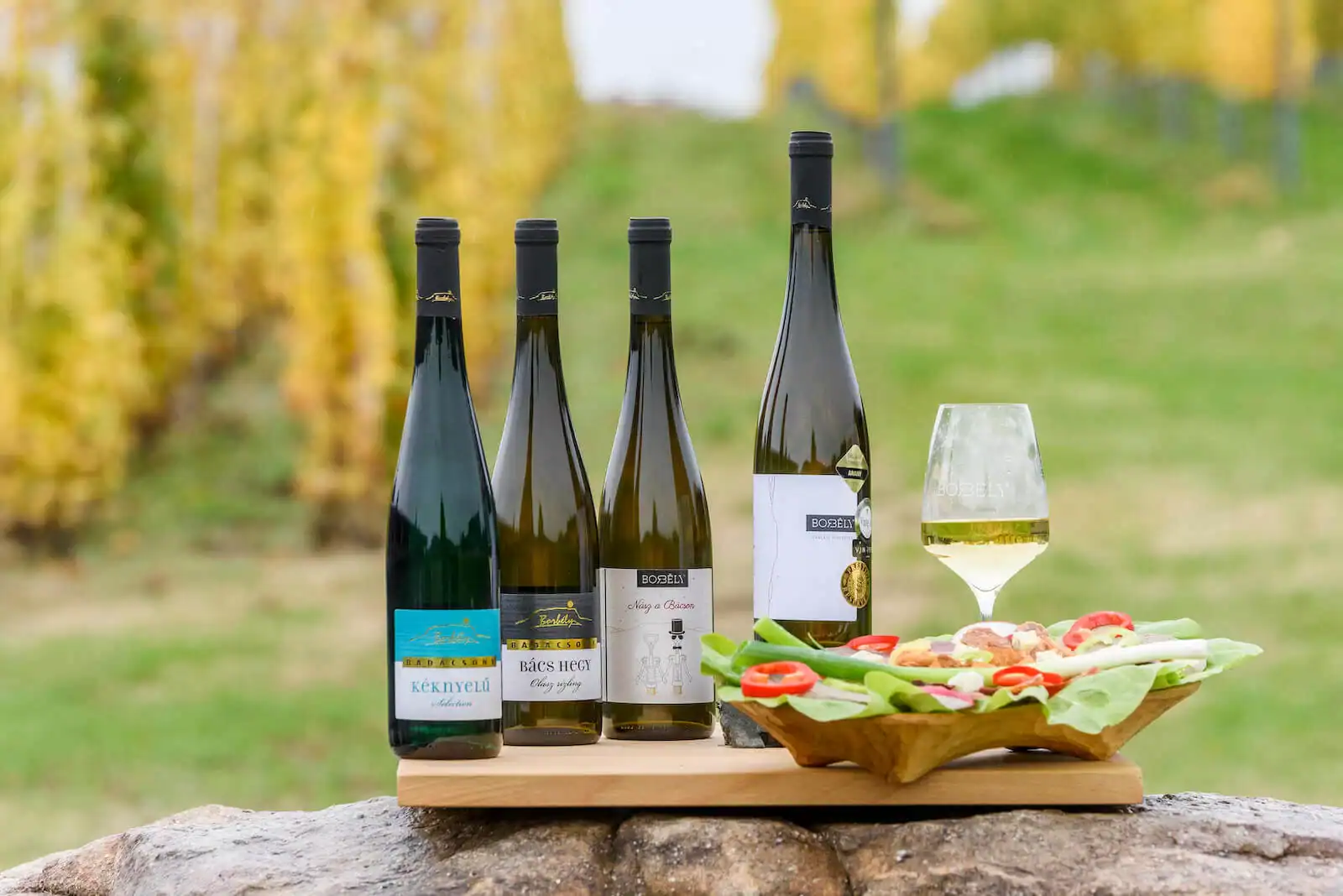 An outdoor table entirely filled with chilled bottles of Borbély white wine