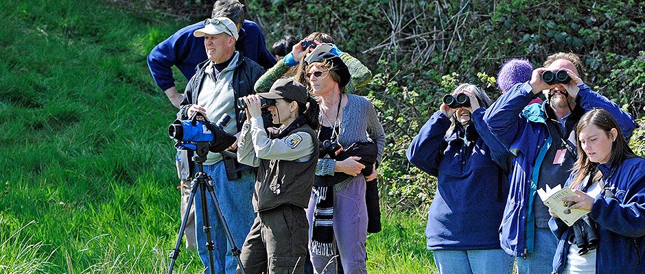 A guided birdwatching group exploring the natural spots around Budapest