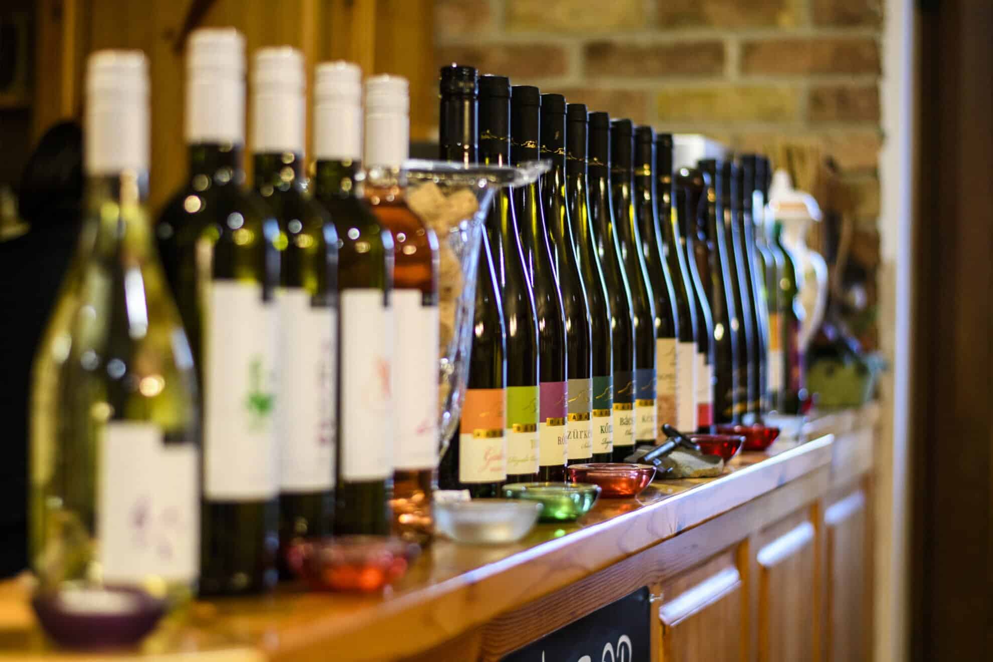 Looking deeply into the beautifully maintained, massive wooden casks of the Borbély cellar