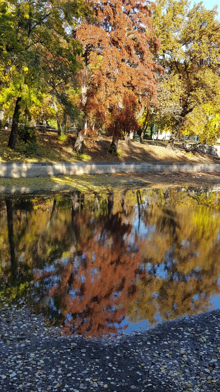 A peaceful pathway surrounded by greenery in Budapest's City Park