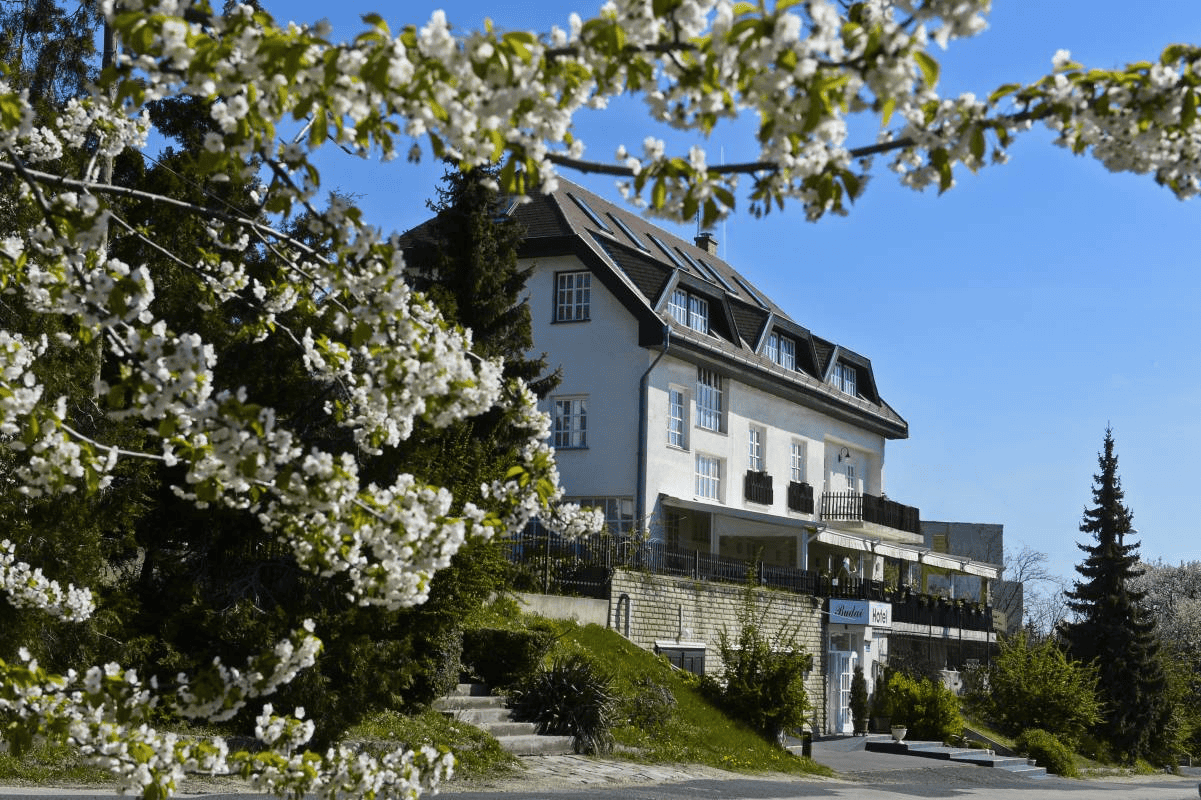 A friendly hotel receptionist handing keys to backpackers at a budget hotel in Budapest