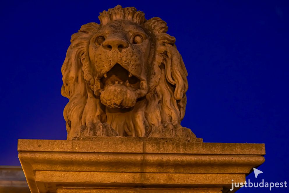  The lion statue at the Széchenyi Chain Bridge (Lánchíd) by night