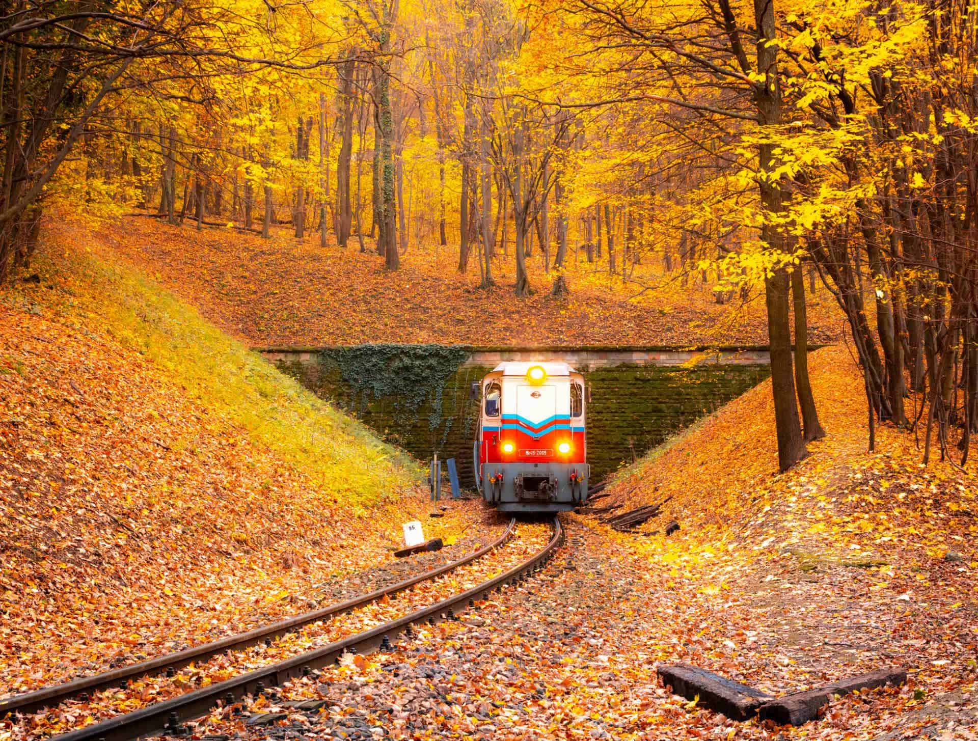 The iconic red and white train of the Budapest Children's Railway in the forest