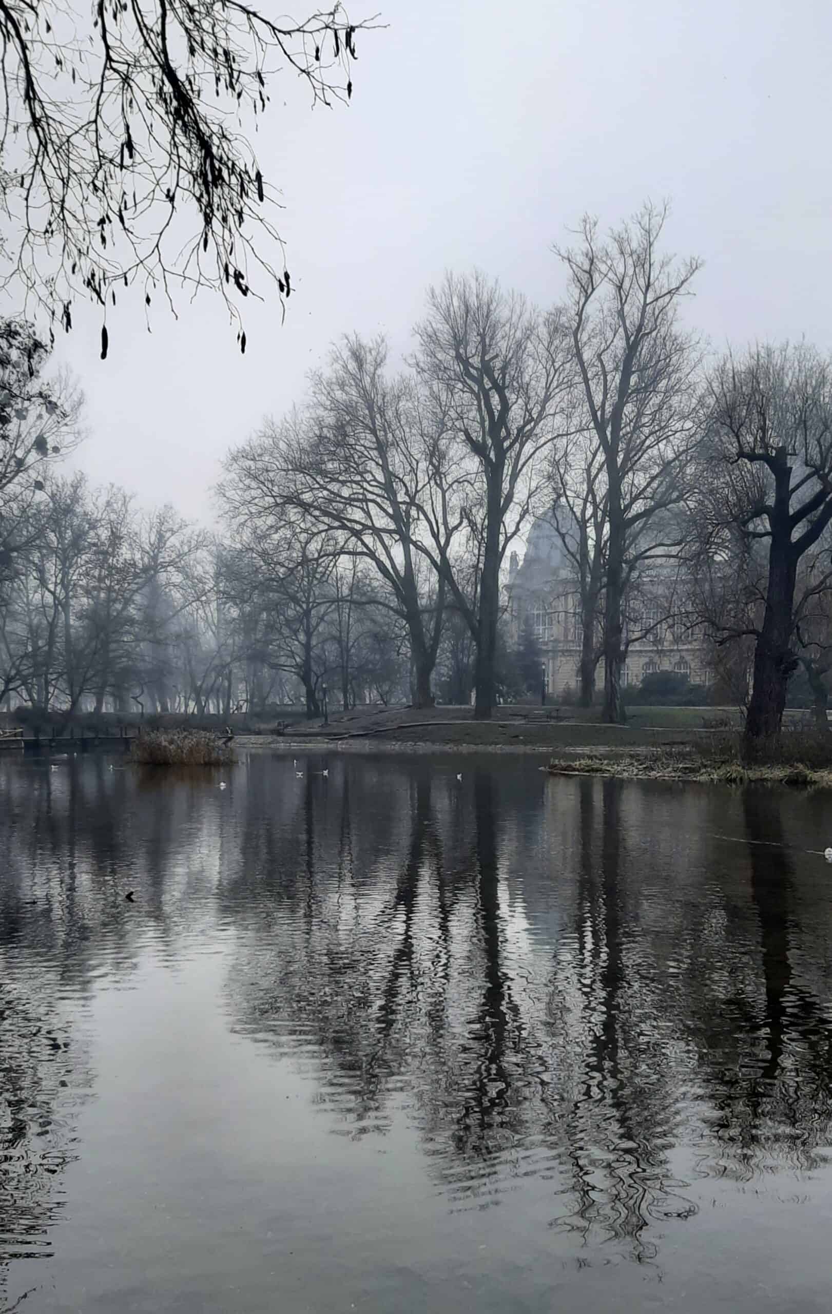 Lake at Vajdahunyad Castle, City Park, Budapest