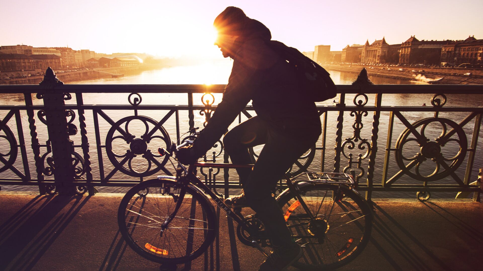 Cyclists riding along the scenic Danube river bank with views of the Parliament