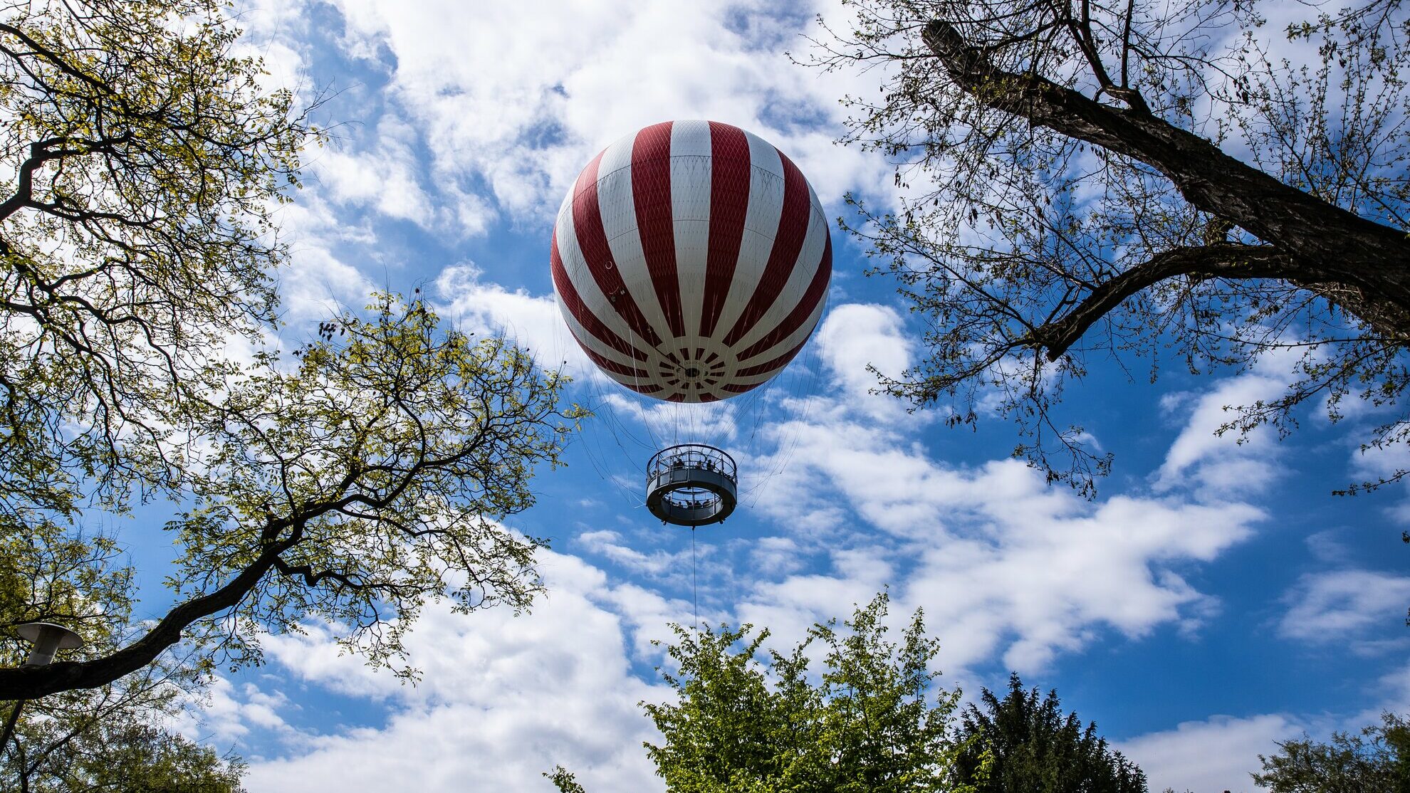 Red-and-white hot air balloon ride in the Budapest City Park