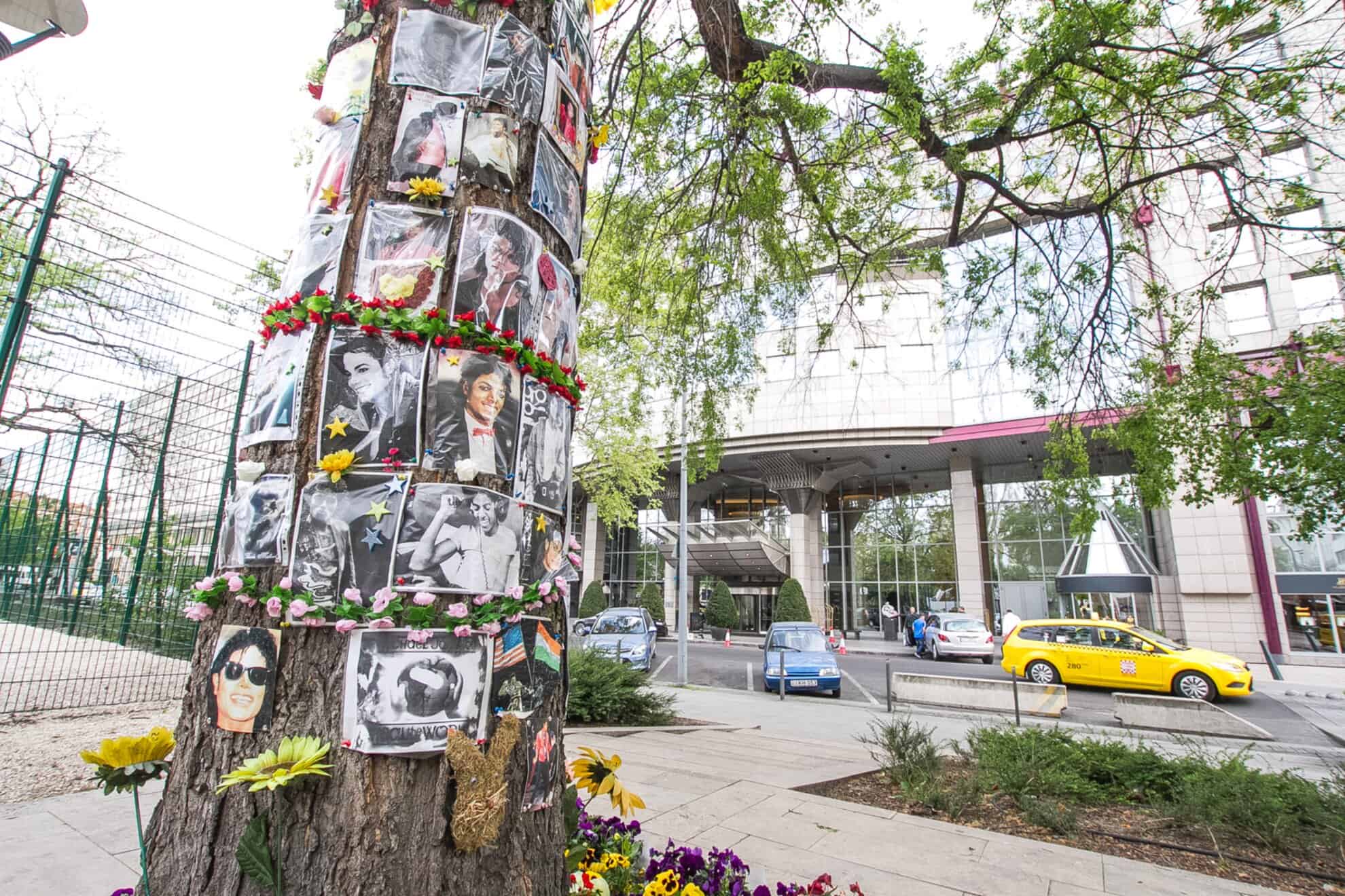 A wide view of the green Erzsebet Square directly facing the hotel where the memorial tree stands