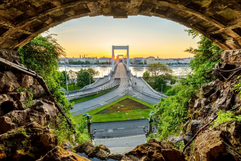 The stark white cables of the Erzsébet Bridge glowing brilliantly against the twilight sky