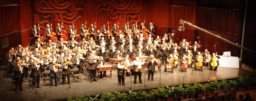 The 100-Member Gypsy Orchestra performing on stage in Budapest
