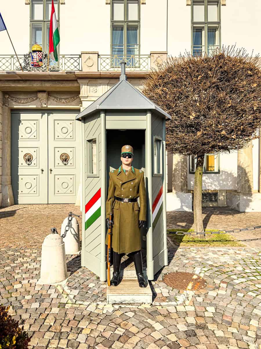 A Hungarian honor guard standing motionless holding a rifle