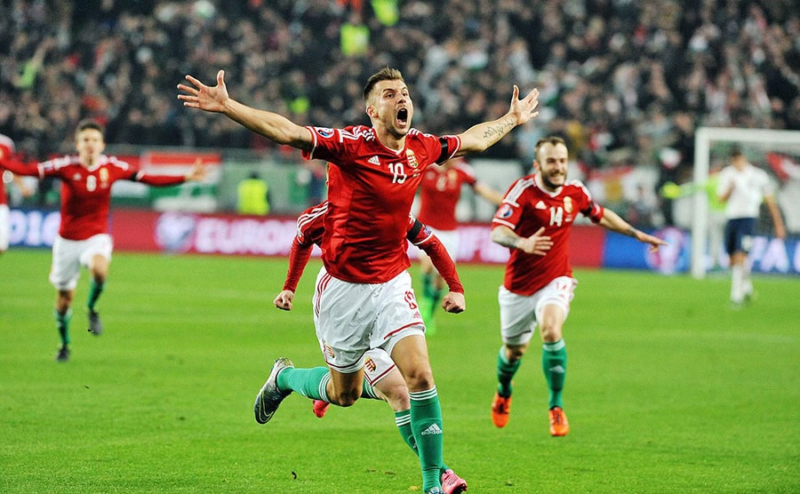 Hungarian football players passionately celebrating a goal during a UEFA Euro match