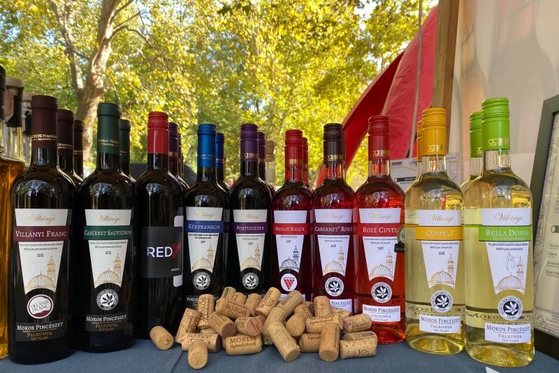 A large selection of Hungarian wine bottles lined up for tasting