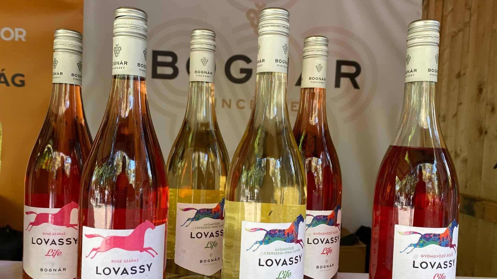 Selection of white wines and rose from Bognár