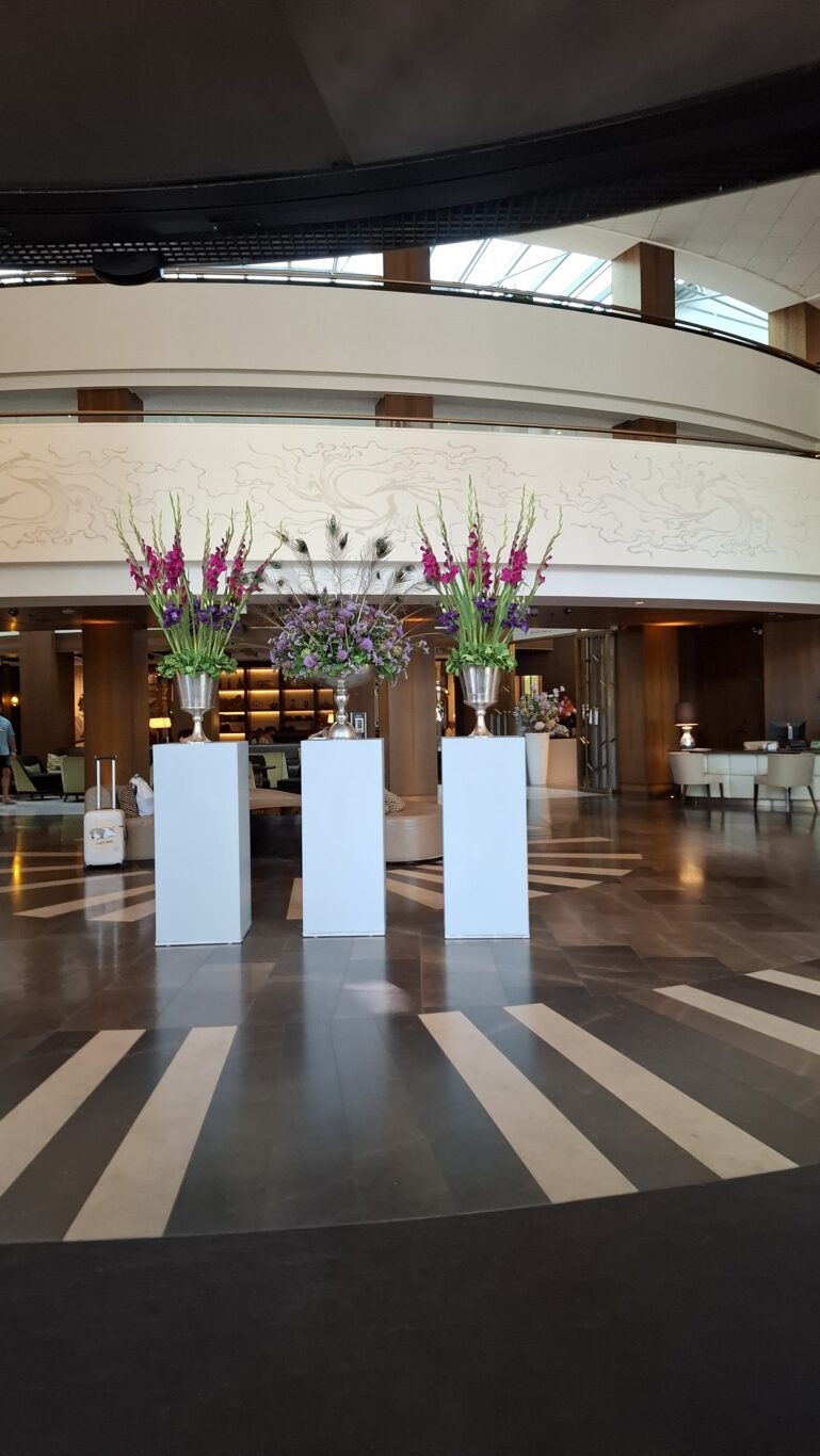 An illuminated glass display counter perfectly filled with premium artisan pastries