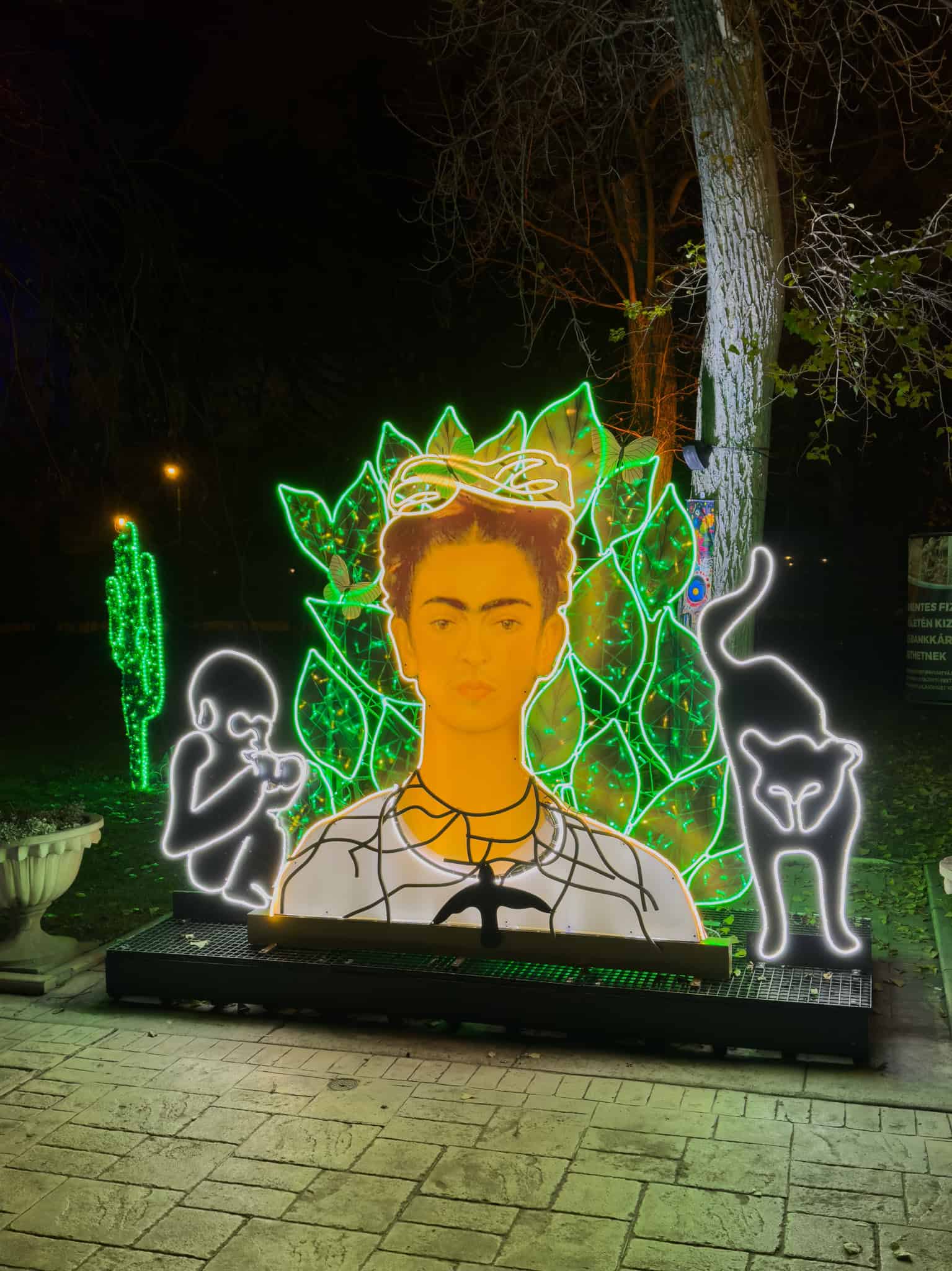 A giant brightly glowing face distinctly wearing an illuminated floral crown