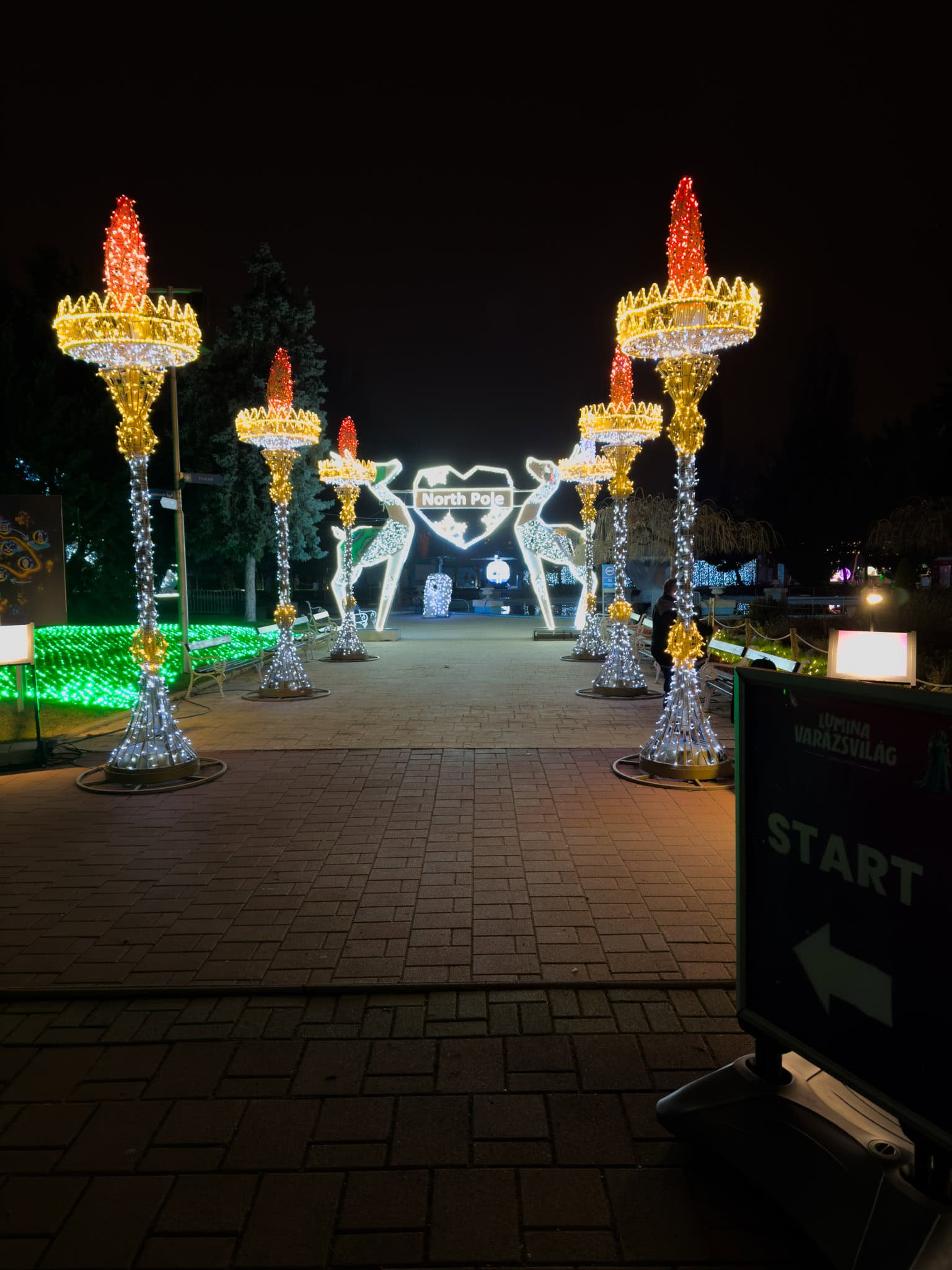 A glowing icy archway covered in bright white and blue LED strings