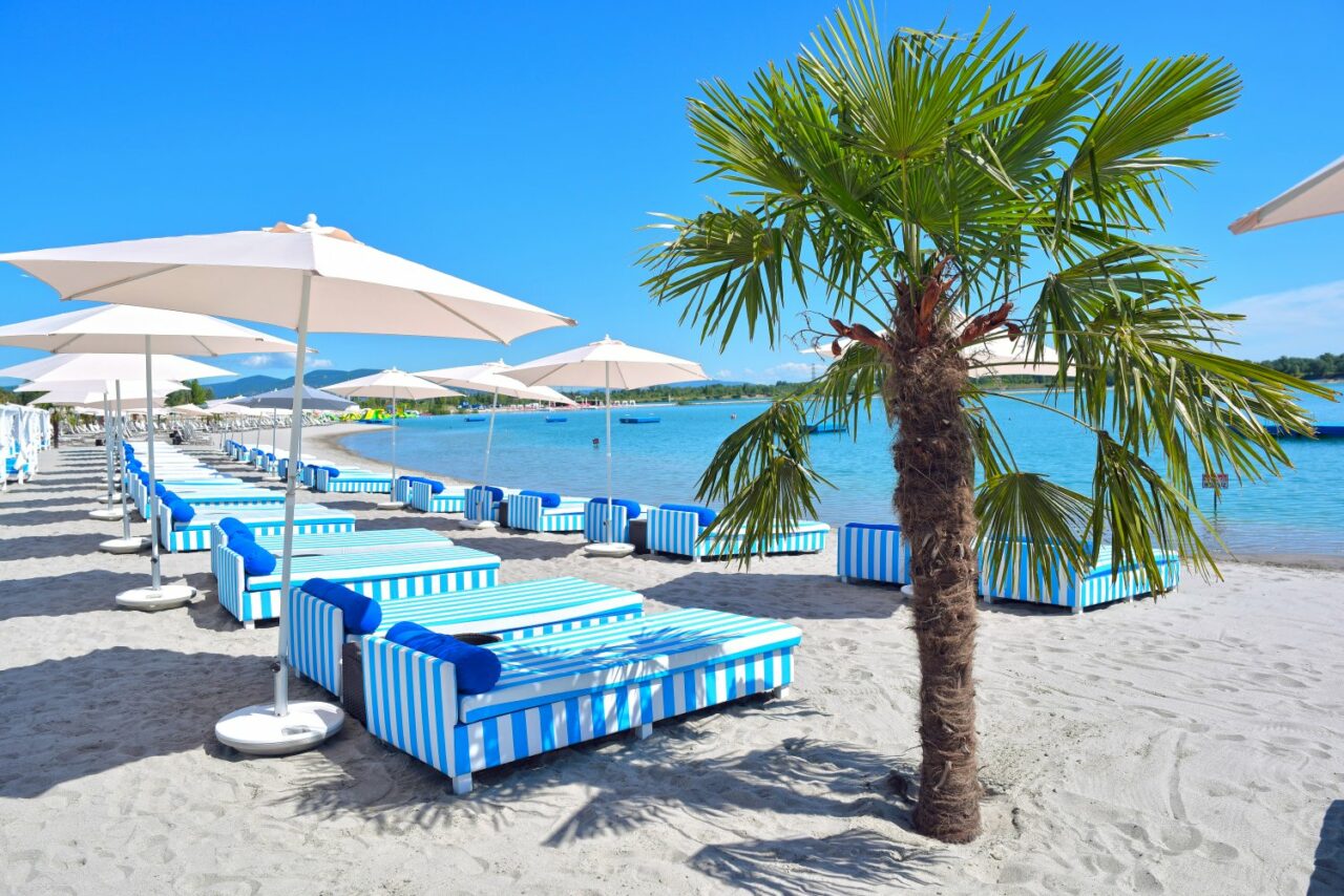 Premium striped sunbeds and a palm tree on the white sand of Lupa Beach