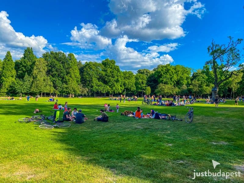 The lush green lawns and ancient trees of Margaret Island, a haven for urban birdlife