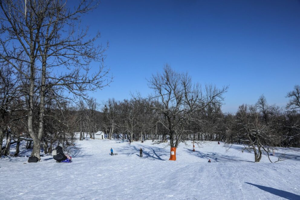 Families sledding down a snowy hill at Normafa, Budapest