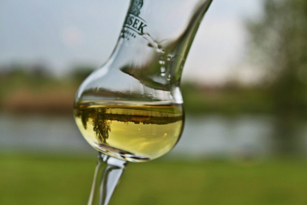 A close up of a Palinka glass filled with golden liquid reflecting the outdoors