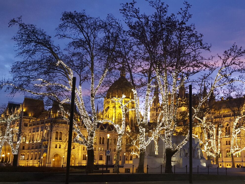 Trees wrapped in Christmas lights near the Parliament building in winter