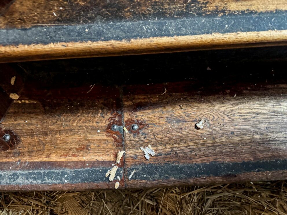 A massive pile of broken peanut shells mixed with straw covering the floorboards