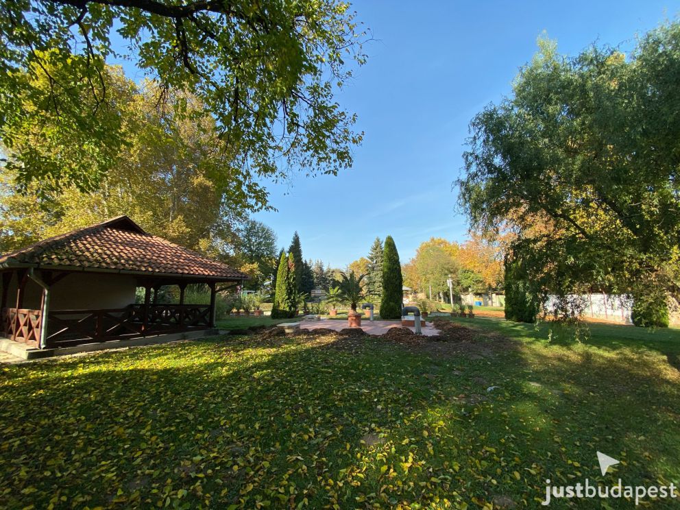 The green park area of Romai furdo covered in yellow autumn leaves