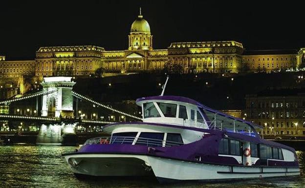 A Silverline cruise boat on the Danube at night with Buda Castle illuminated behind it