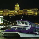 Silverline Cruise ship with Buda Castle in the background