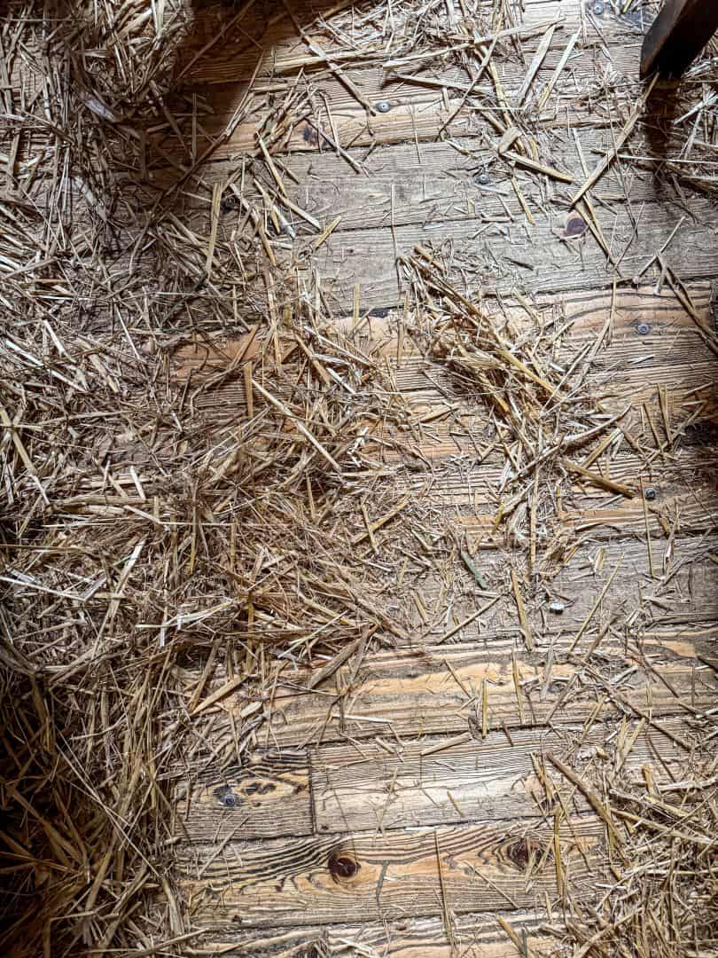 The pub's wooden floor thickly covered in farm straw and discarded peanut shells