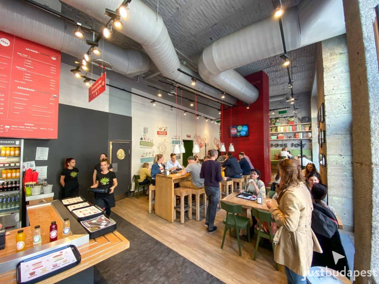 Pad Kra Pao minced chicken stir-fry with holy basil and a fried egg