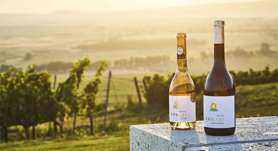 Two bottles of Tokaji wine overlooking a beautiful vineyard at sunset