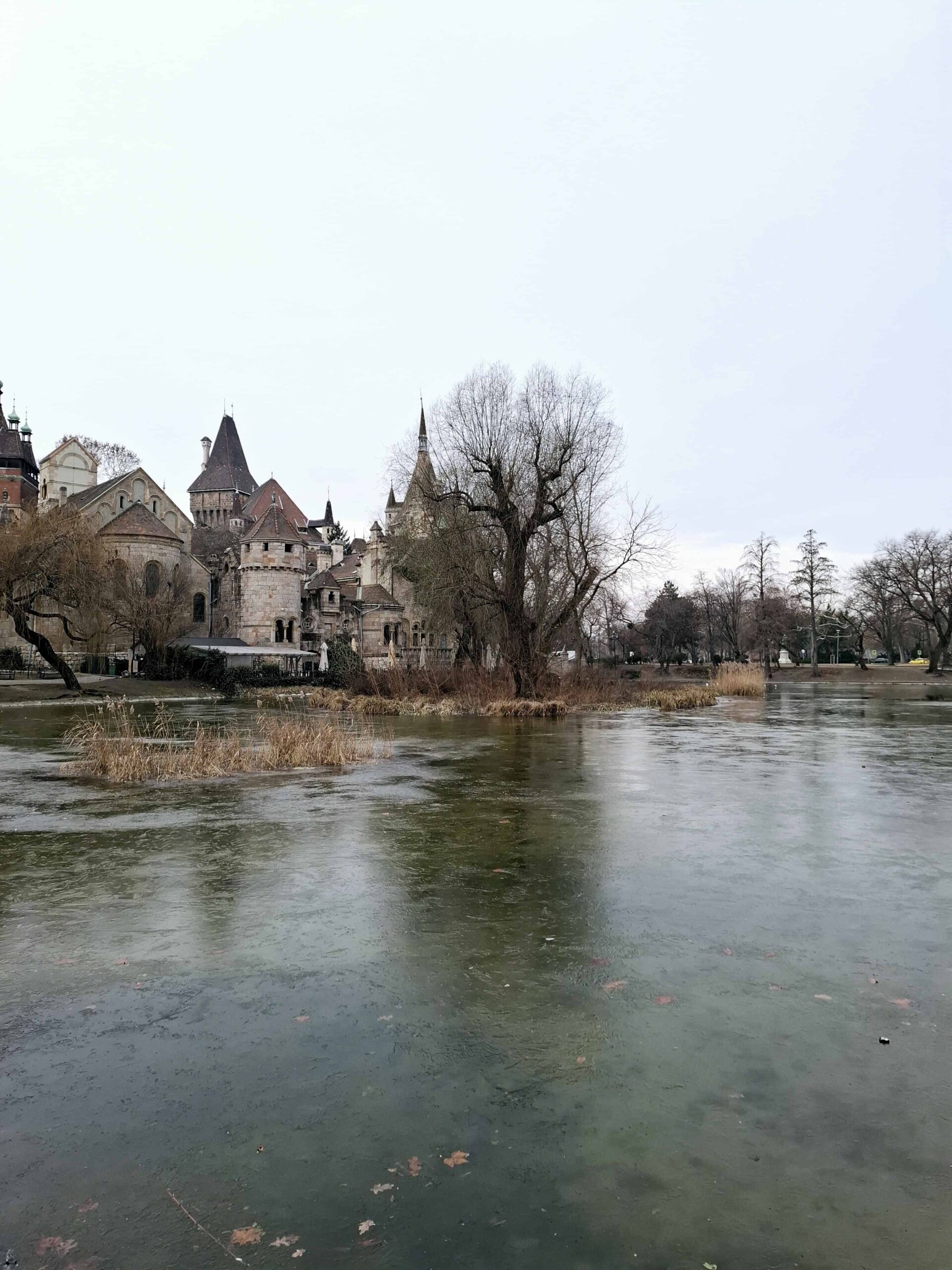 The historic Vajdahunyad Castle in Budapest's City Park viewed from across the lake during winter.