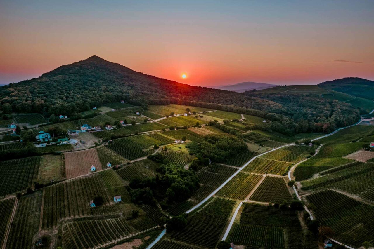 Villány vineyards, one best wine regions in all of Hungary